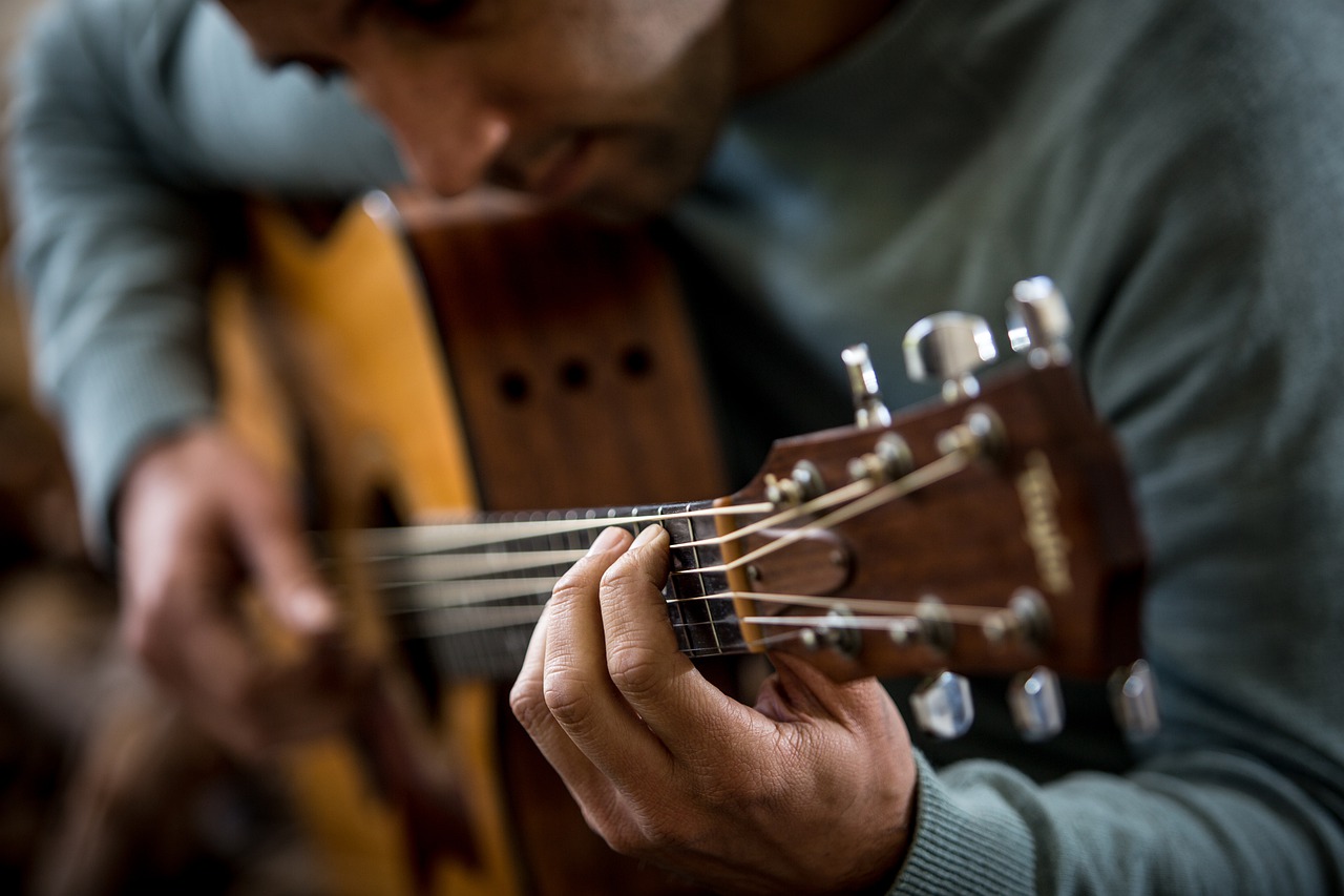 Guitar Player Music Guitarist  - MaliAroestiPhotography / Pixabay